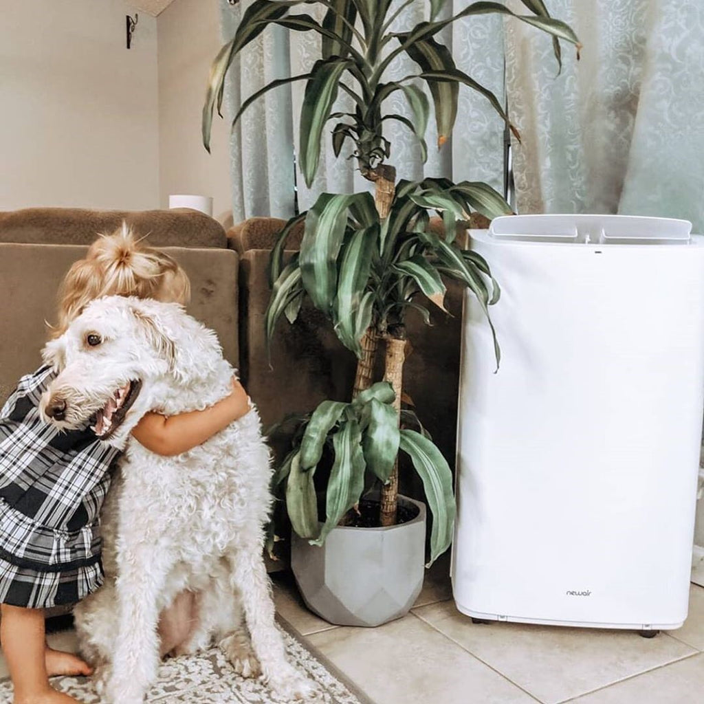 best portable air conditioner to cool a room