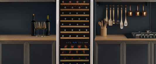 Last-Minute Gift Ideas: Why a Newair Wine Fridge is the Perfect Present for Wine Lovers